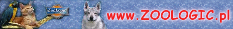 sklep zoologiczny Zoologic.pl sklep zoologiczny Zoologic.pl